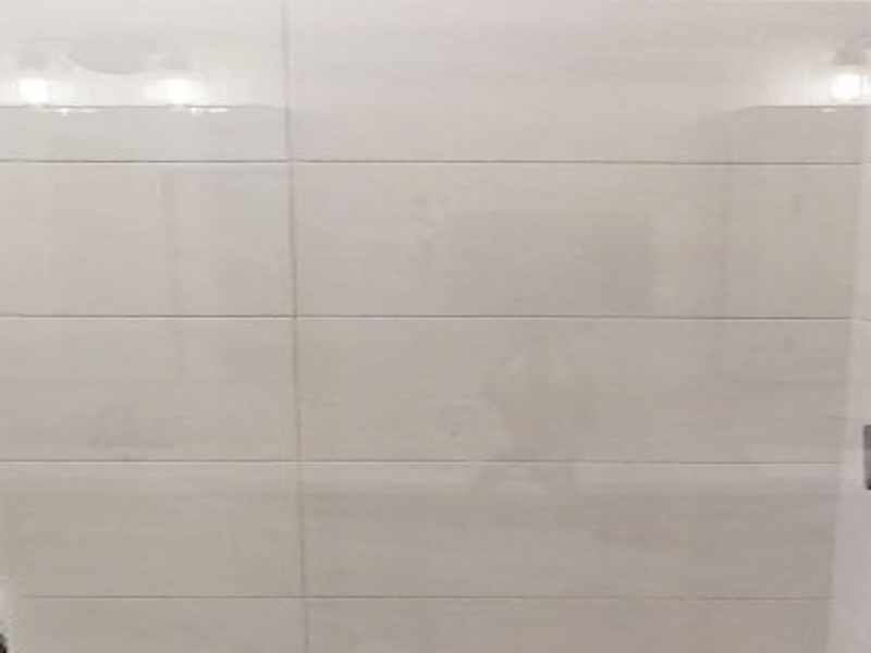 Wonderwise Shaw (Upgrade)